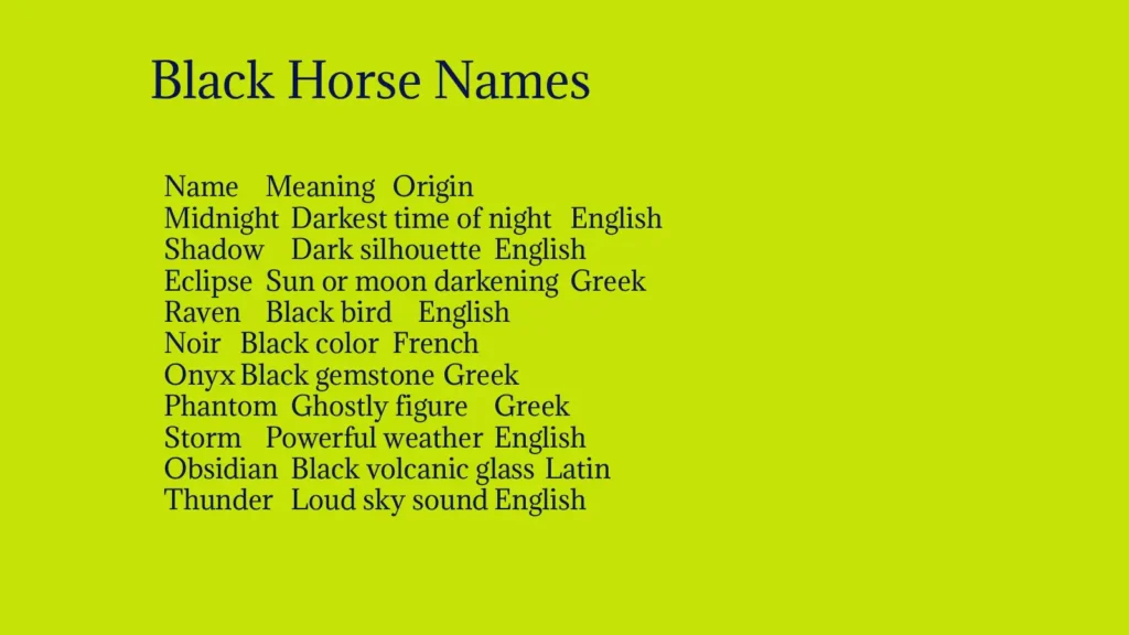 Black Horse Names