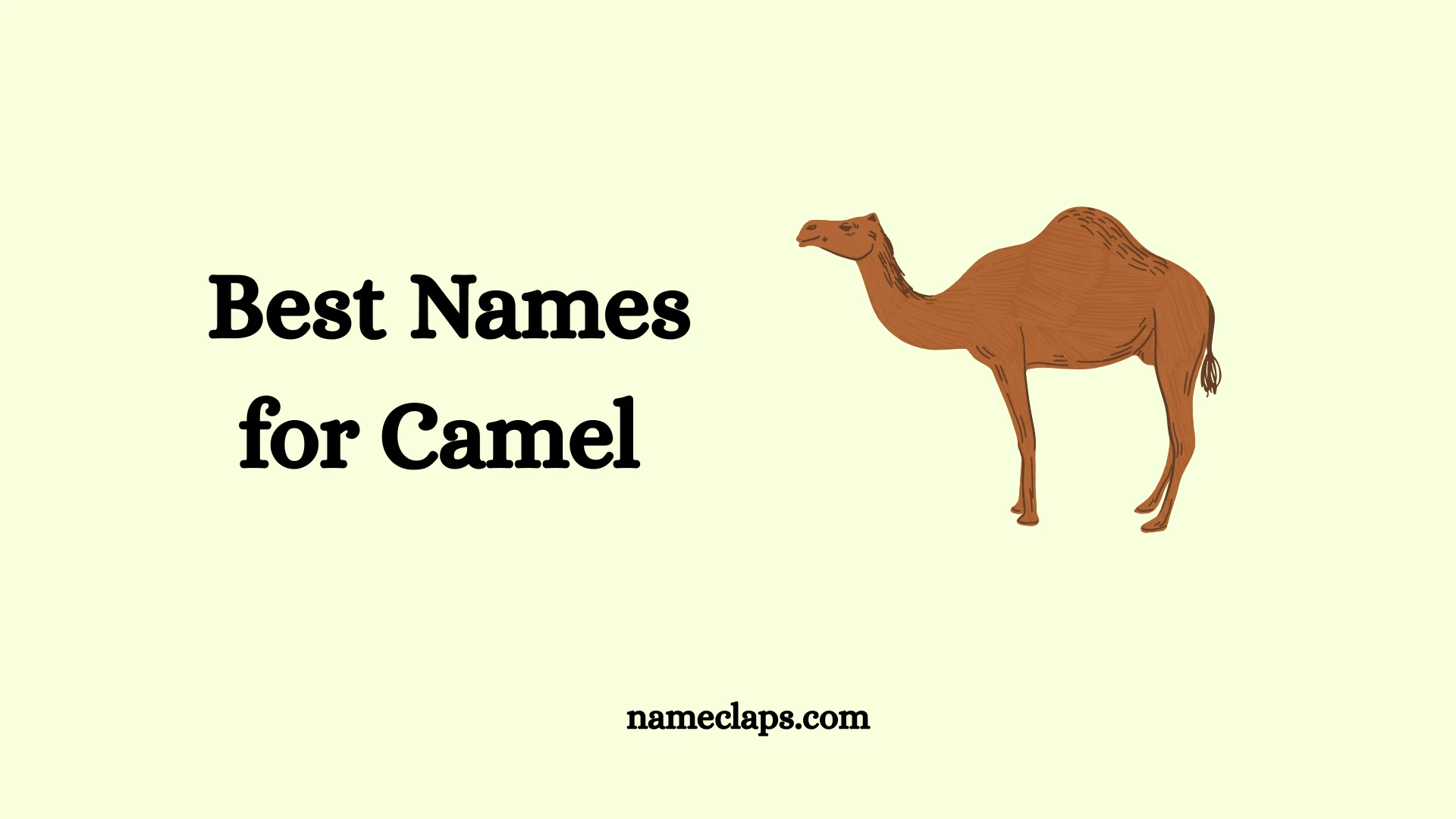 Adorable camel showing unique traits and playful personality.