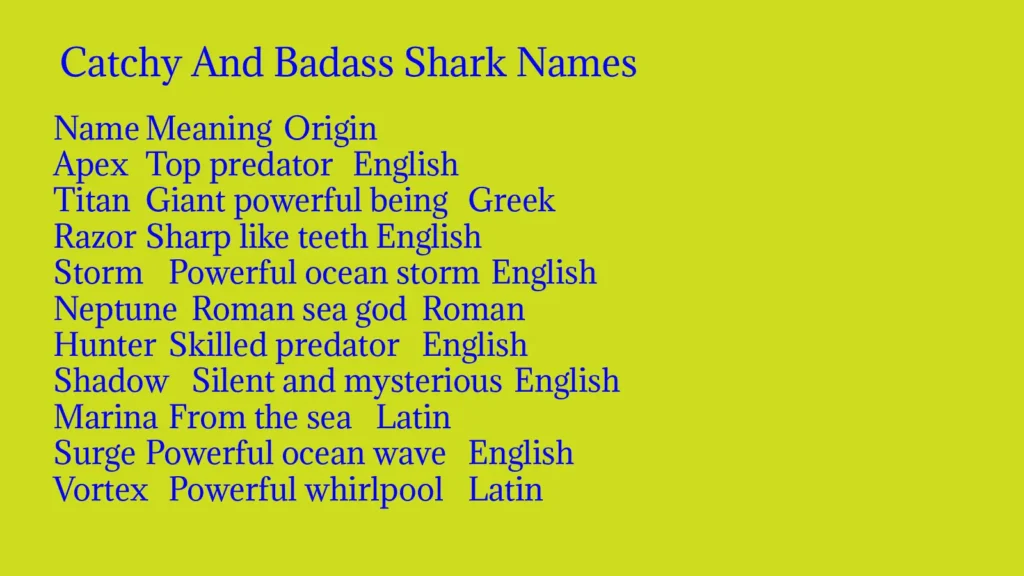 Catchy And Badass Shark Names