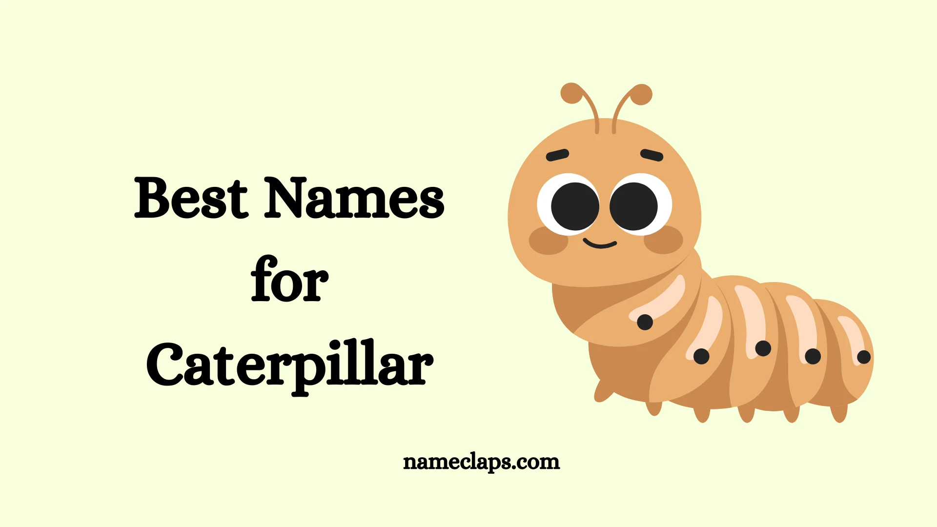 Cute Caterpillar Names: Playful, Charming & Unique Ideas for Your Pet