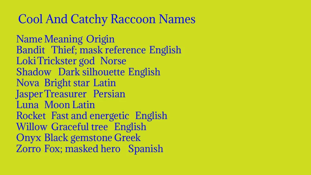 Cool And Catchy Raccoon Names