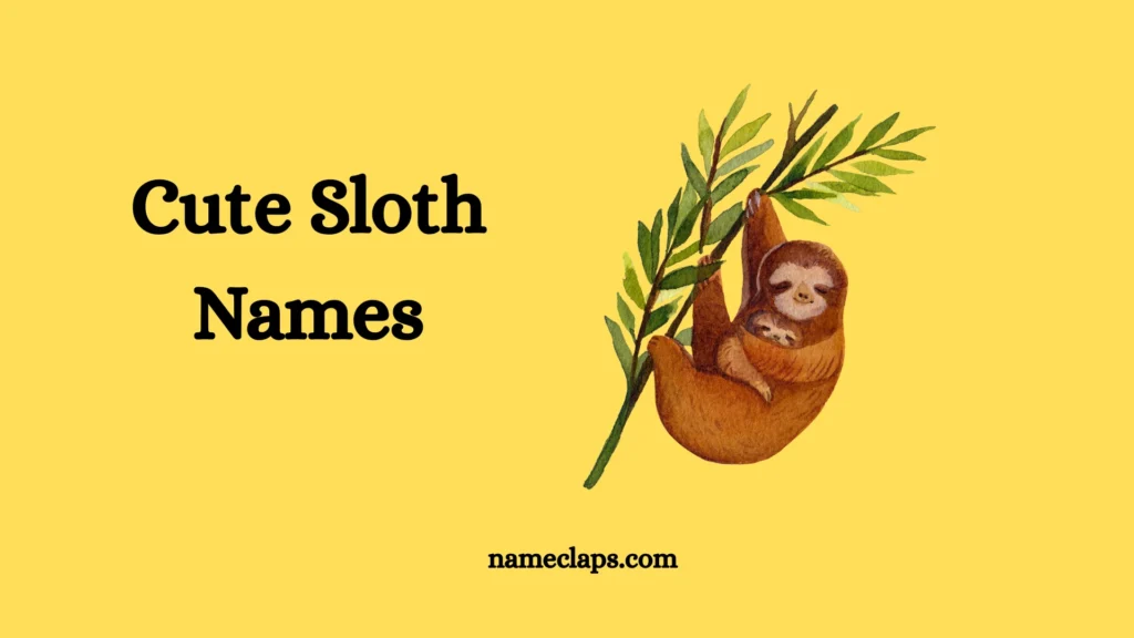 Cute Sloth Names With Name Generator (2026)