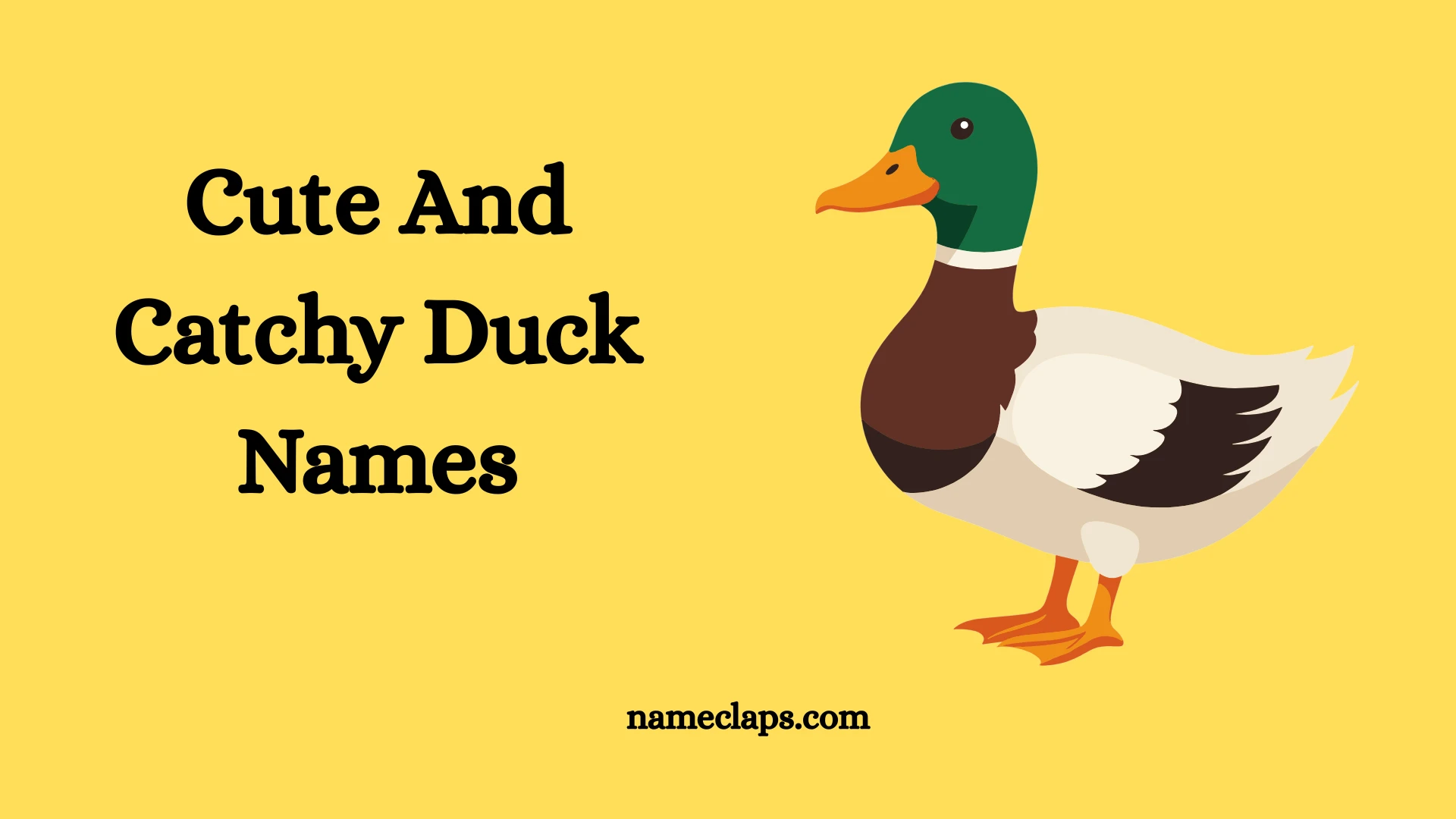 Cute And Catchy Duck Names With Name