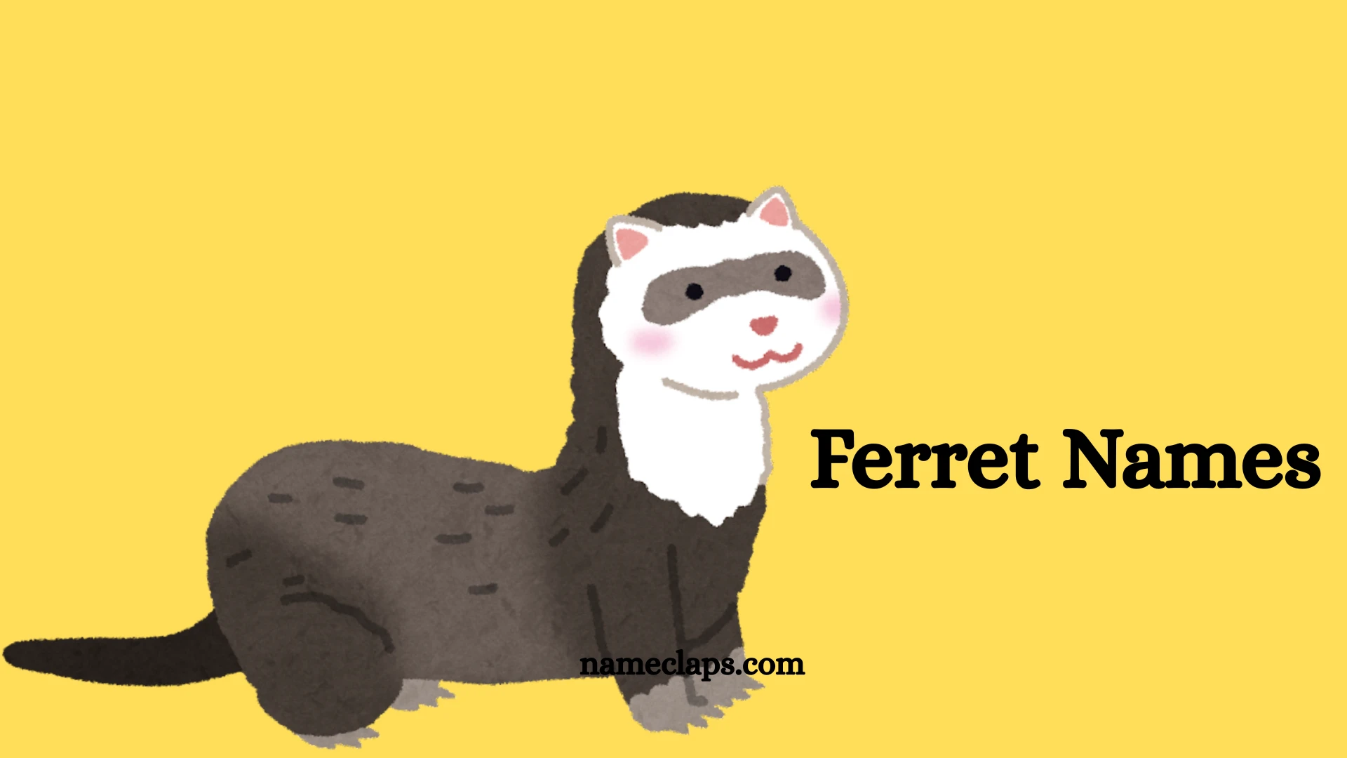 Ferret Names: Cute, Funky, and Unique Ideas for Your Pet