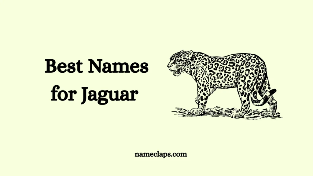 Cool Jaguar Names for Pets, Characters & Stories – Unique Ideas 2026