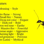 Ant Names