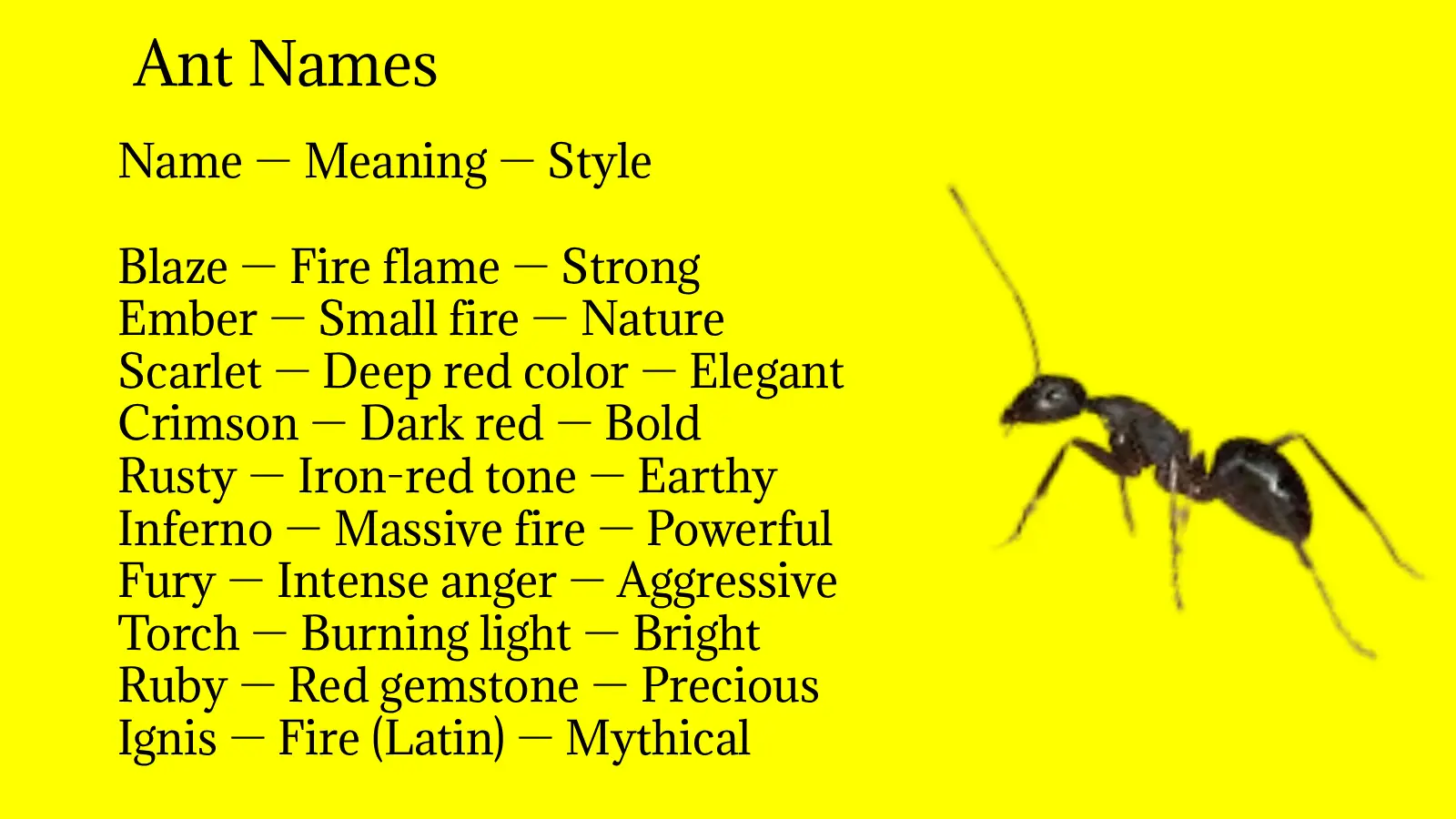 Ant Names
