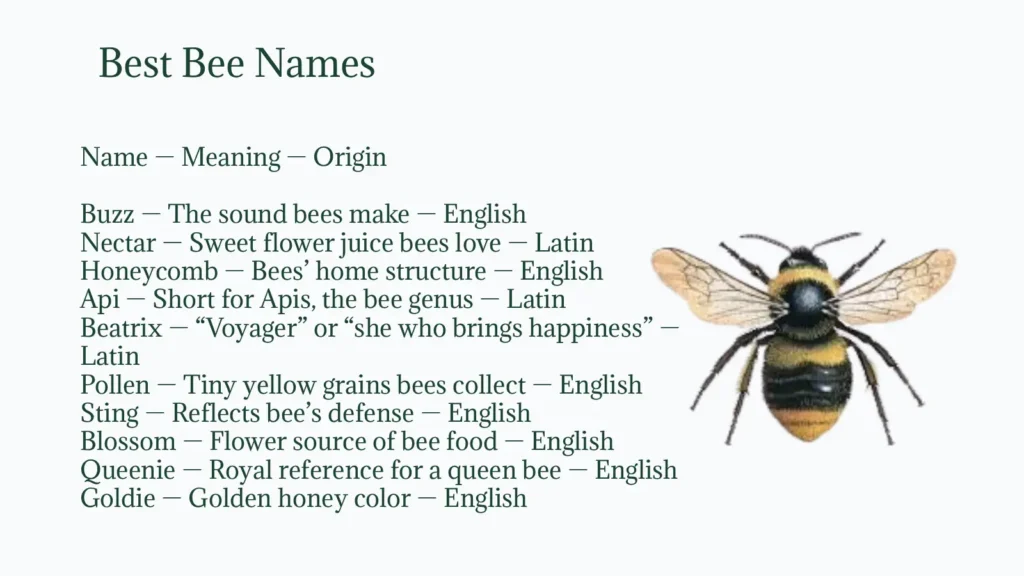 Bee Names: