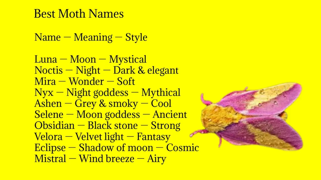 Best Moth Names