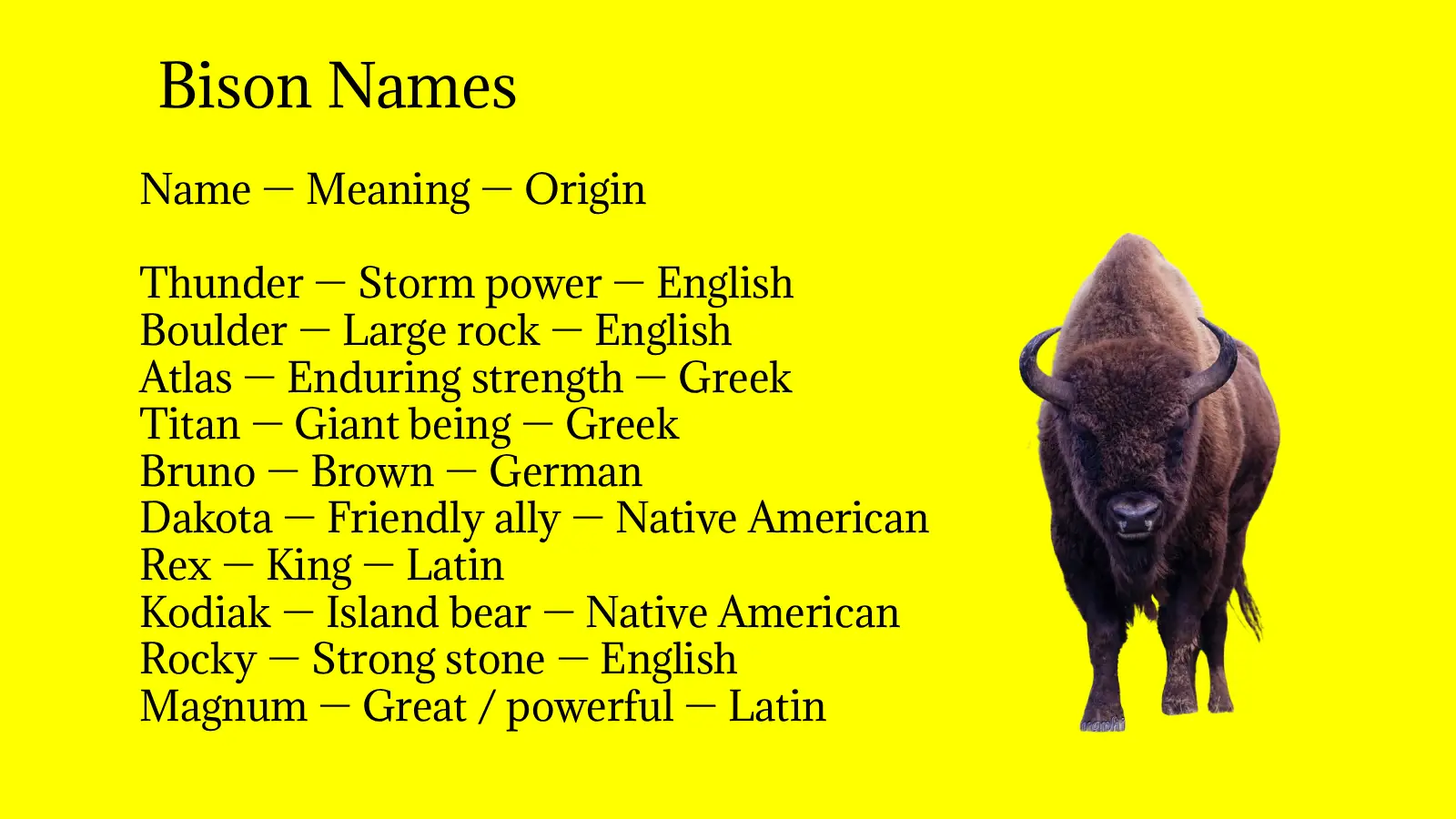 Bison Names