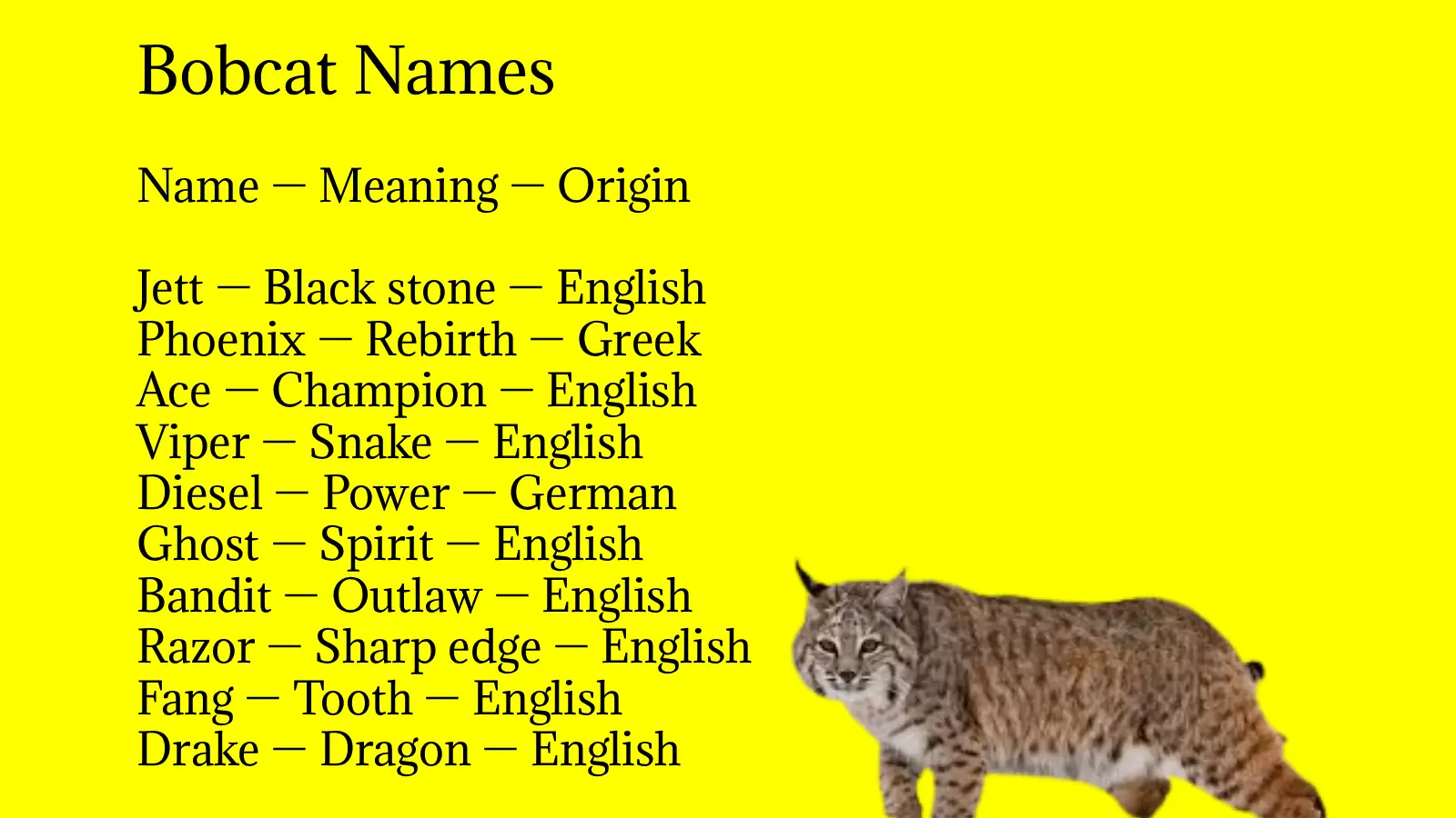 Bobcat Names
