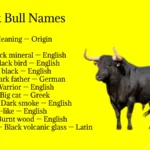 bull Names