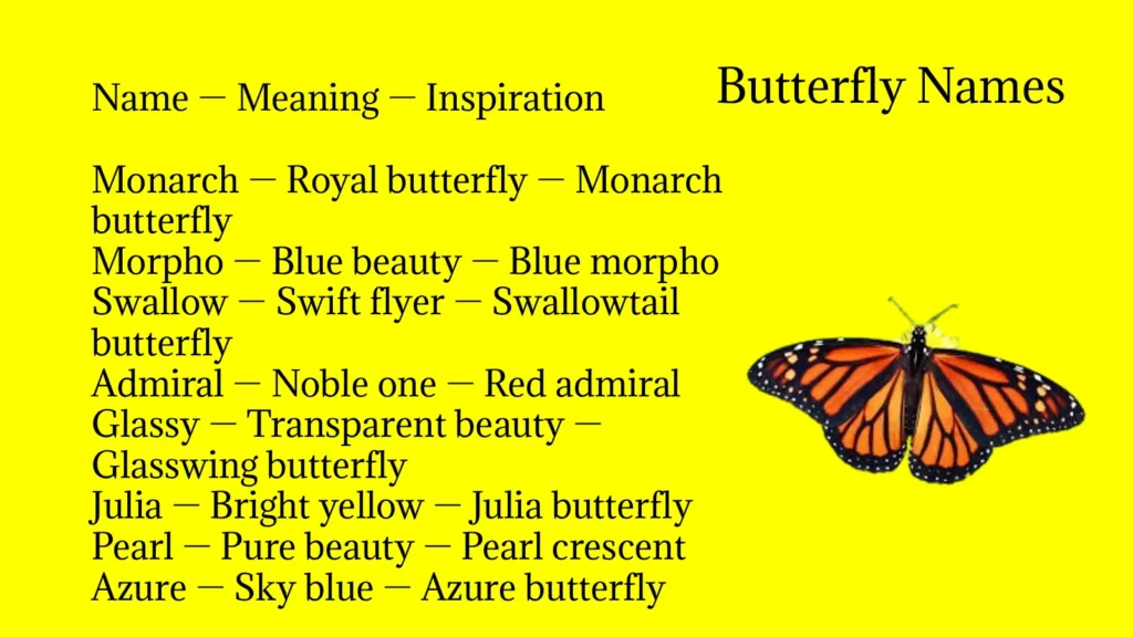 Butterfly Names