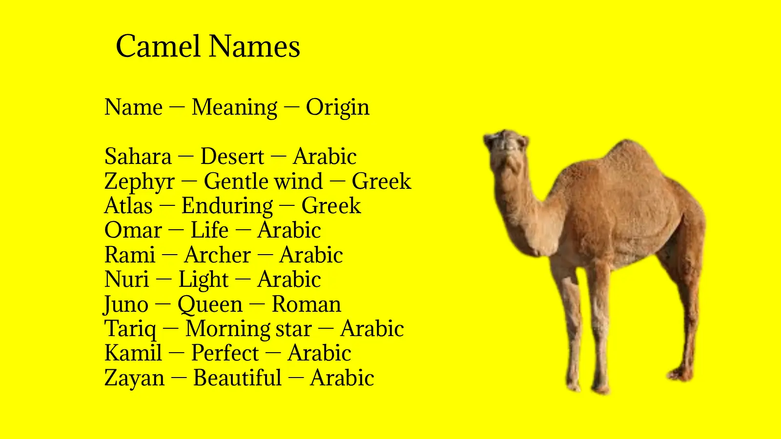 Camel Names