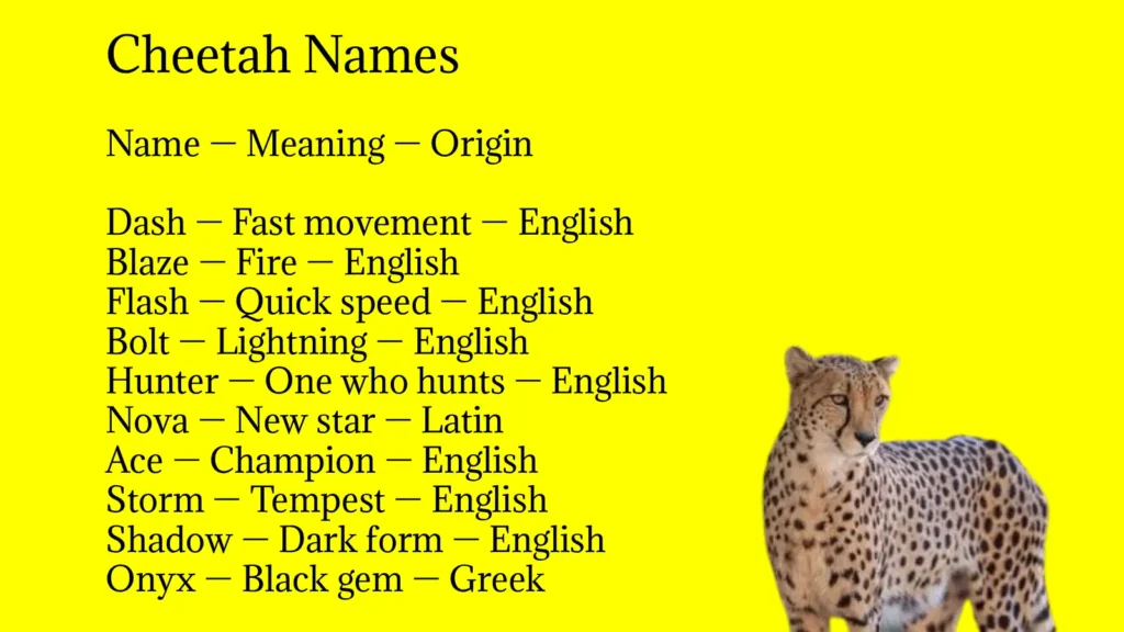 Cheetah Names