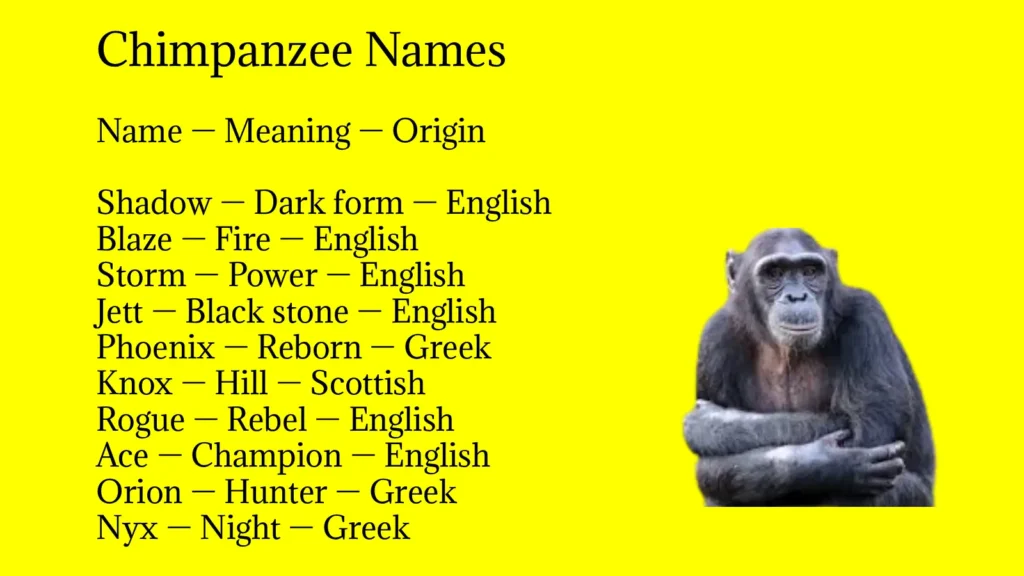 Chimpanzee Names