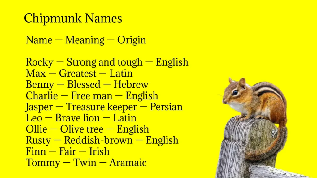 Chipmunk Names