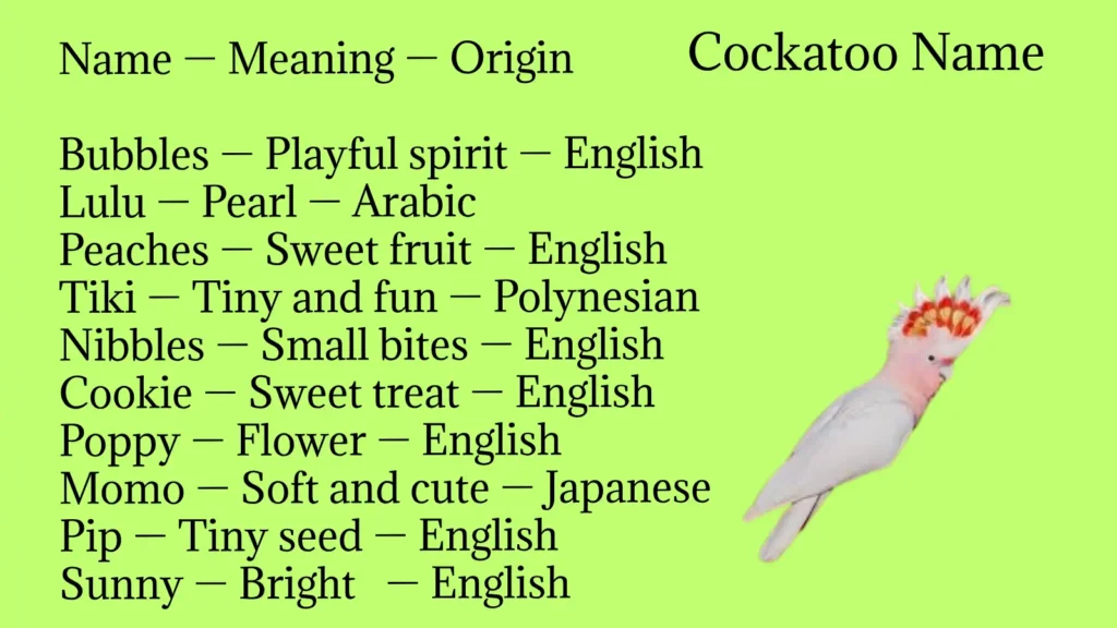 Cockatoo Name