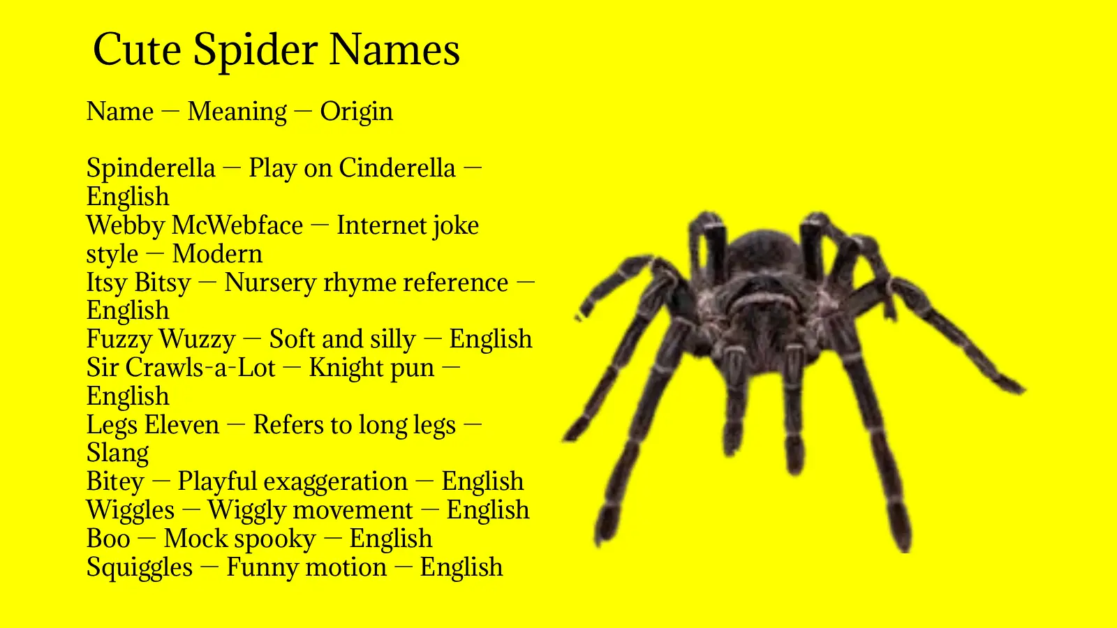 Cute Spider Names