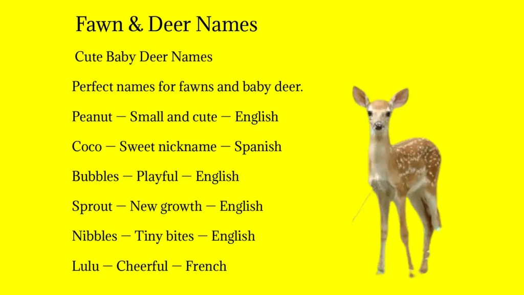 Deer Names
