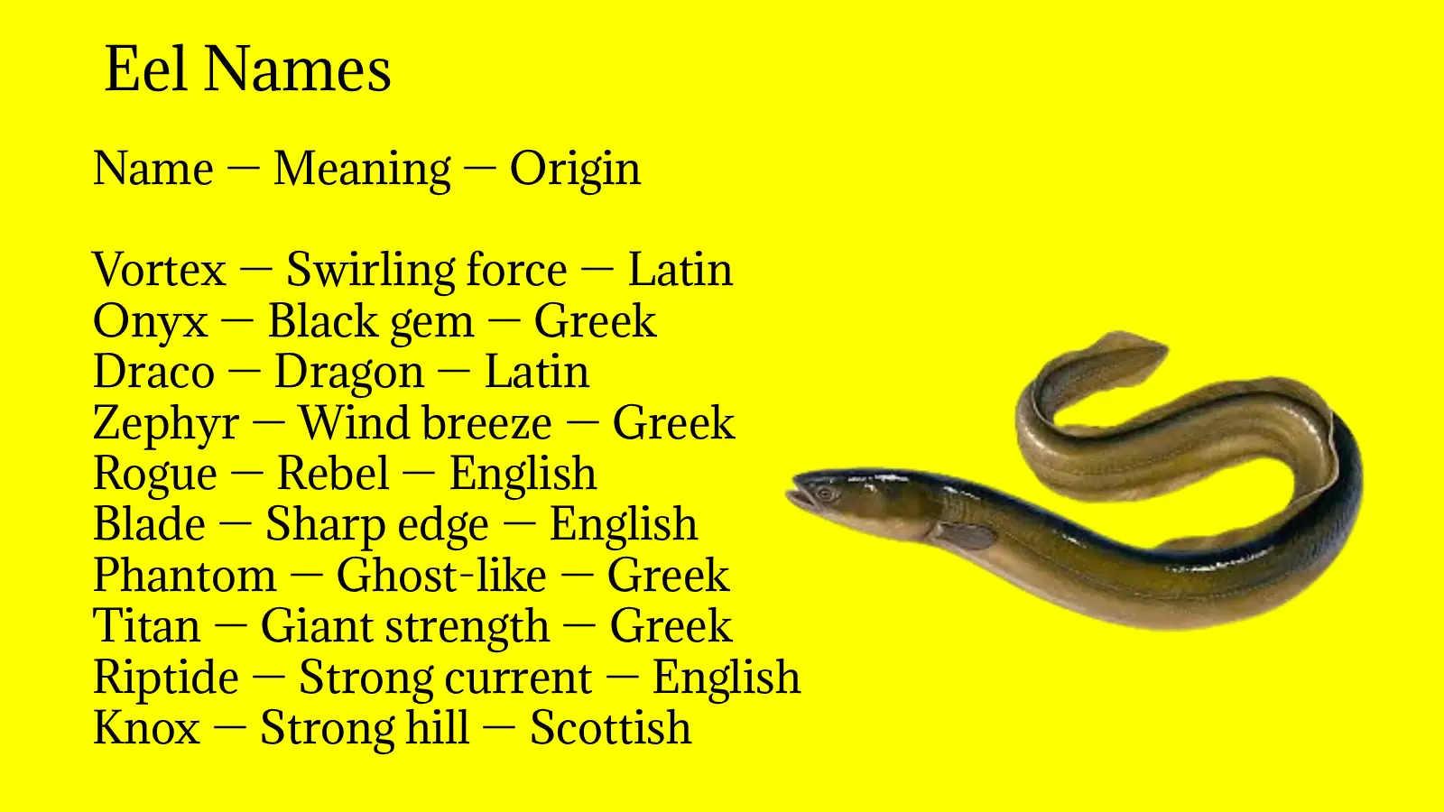 Eel Names