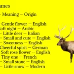 Elk Names