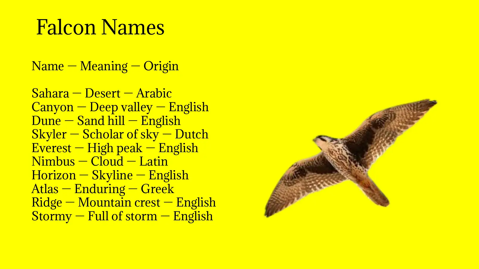 Falcon Names