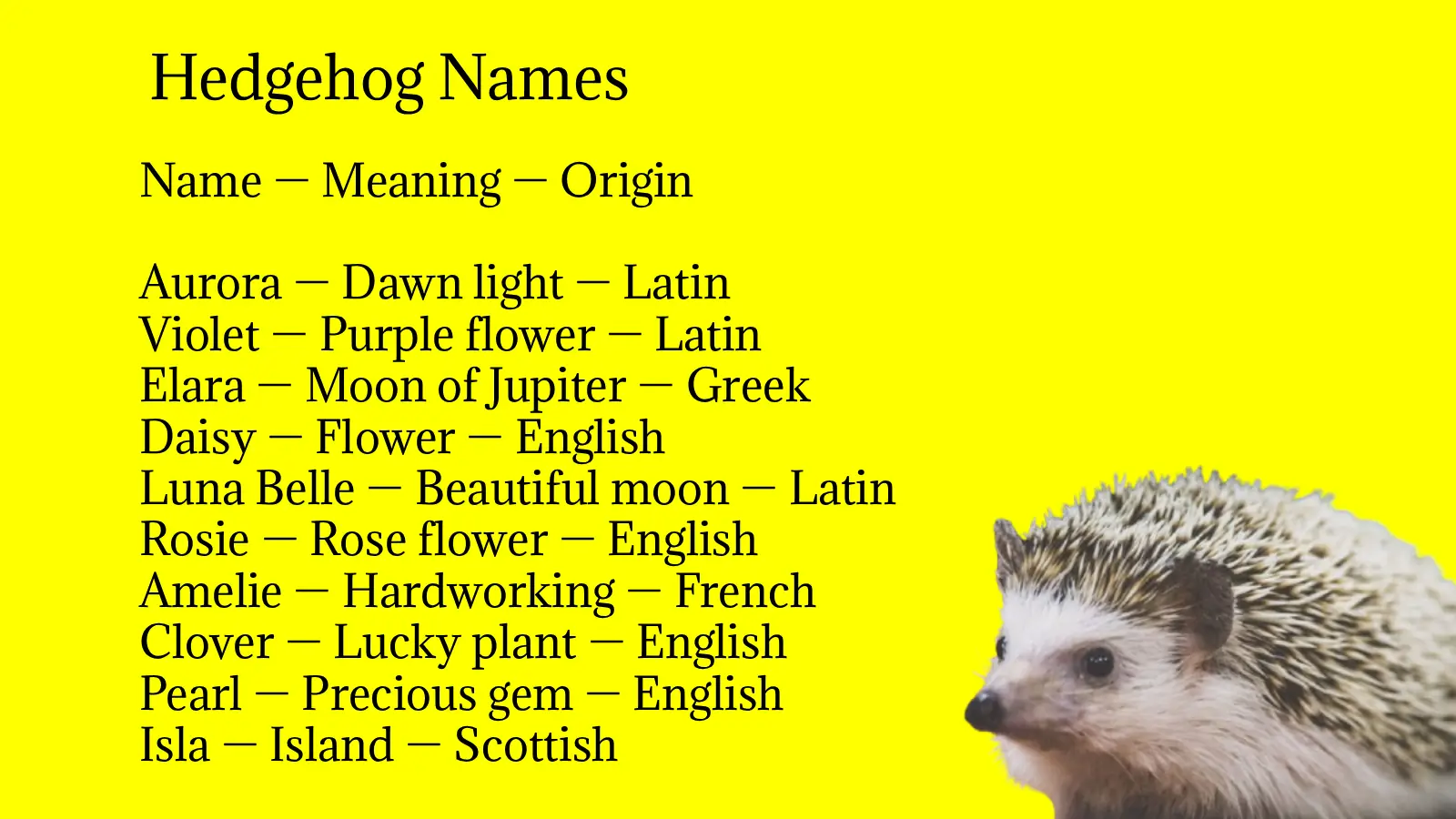 Hedgehog Names