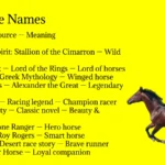 Horse Names