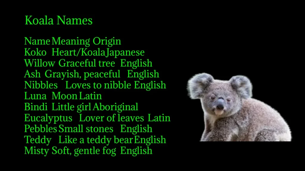 Koala Names
