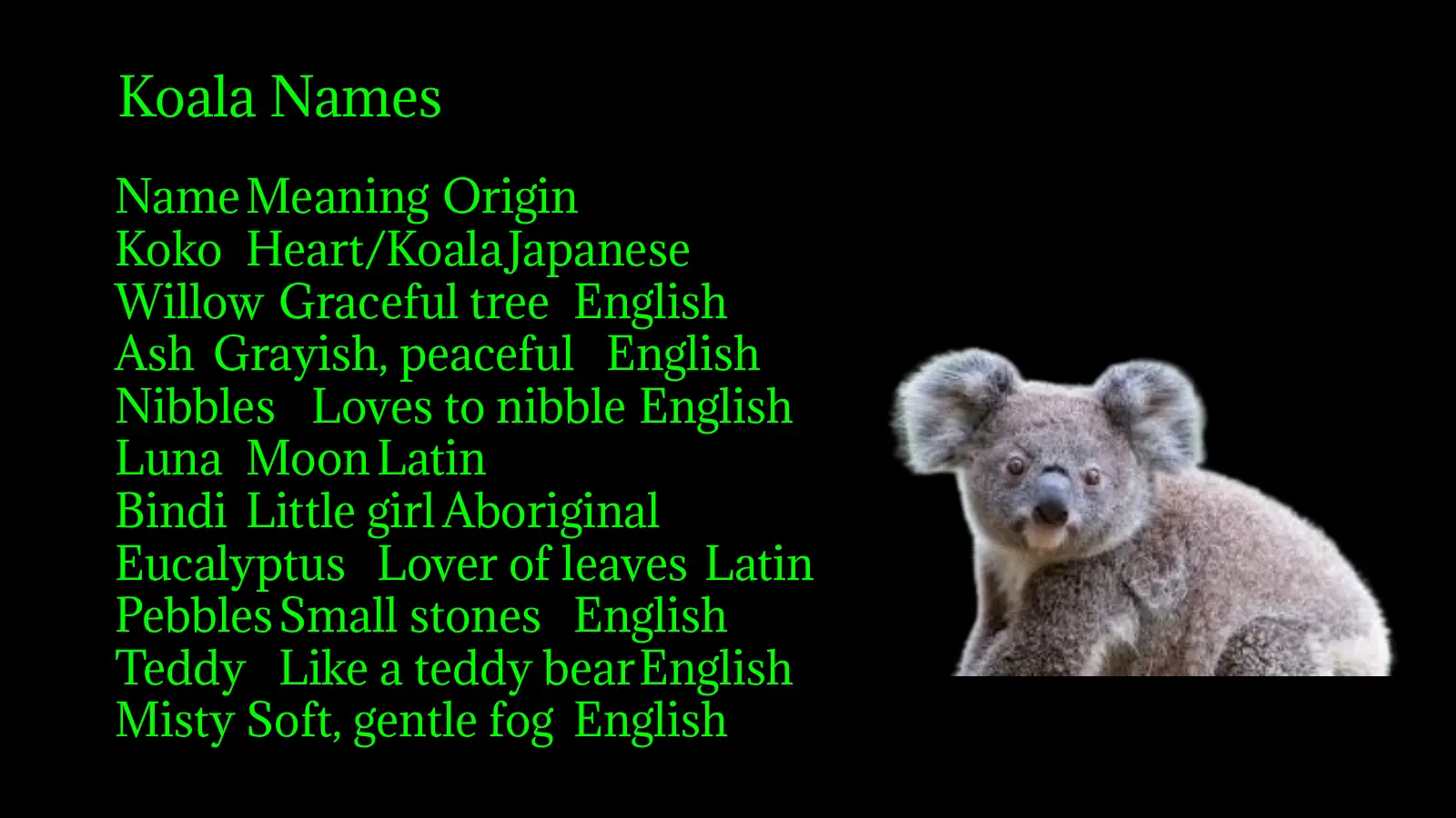 Koala Names
