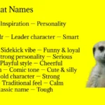 Meerkat Names