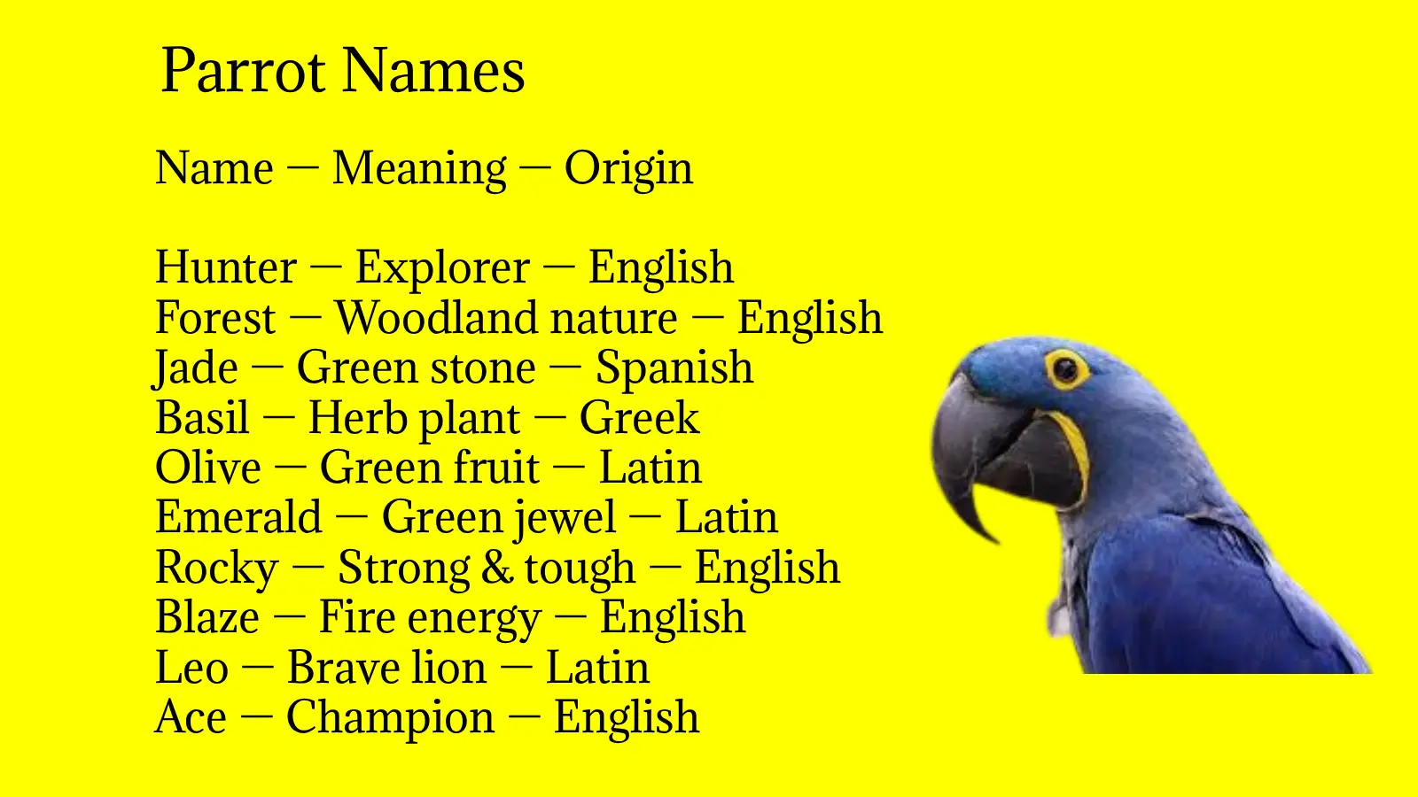 Parrot Names