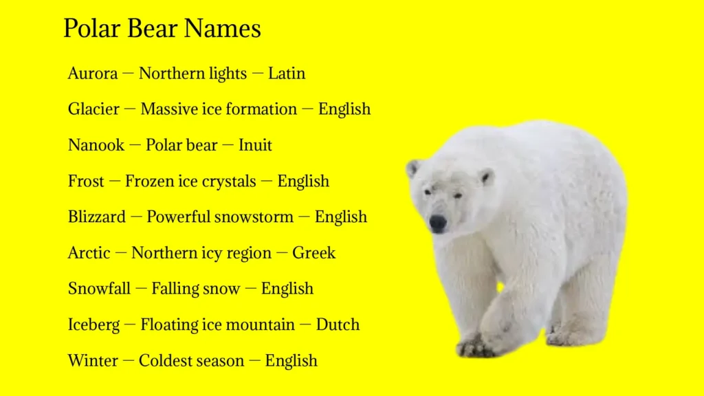 Polar Bear Names