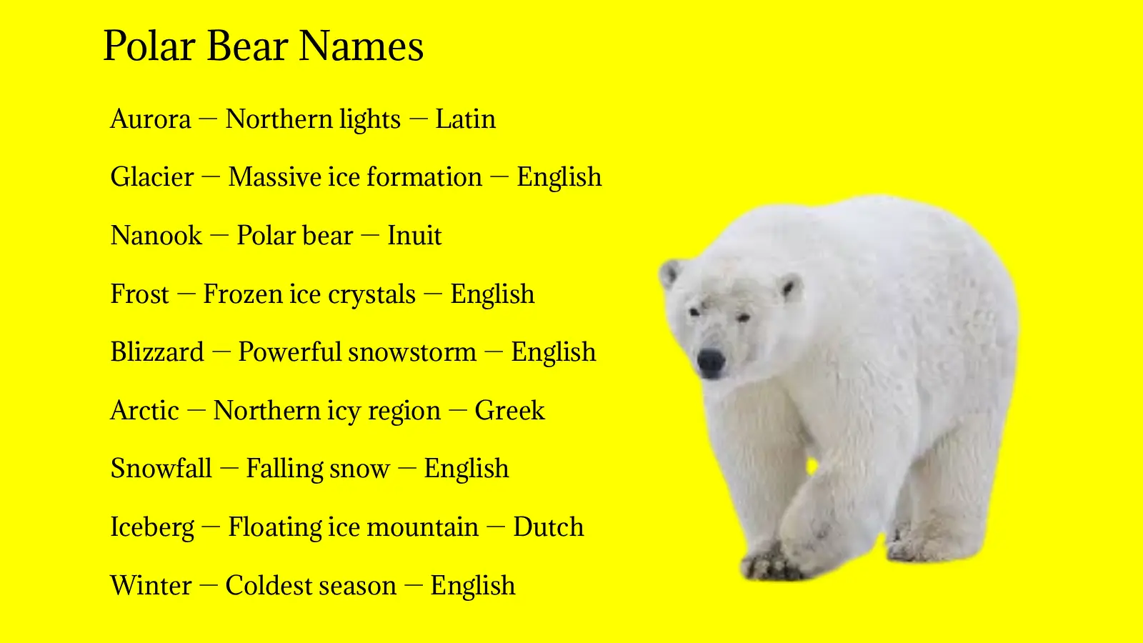 Polar Bear Names
