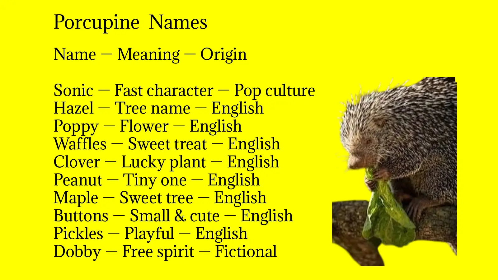 Porcupine Names