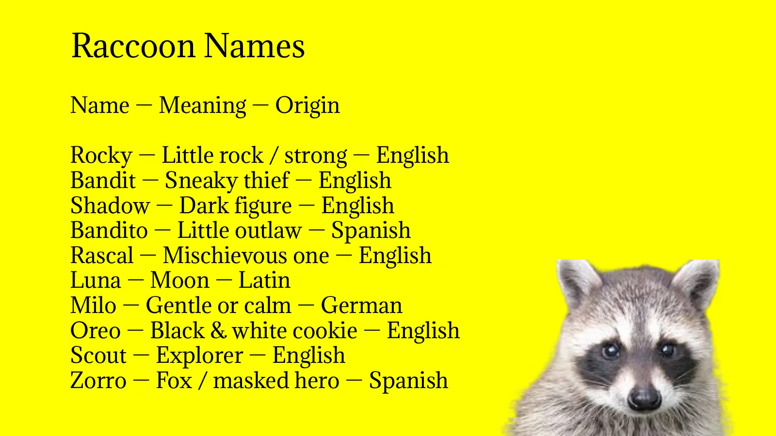 Raccoon Names