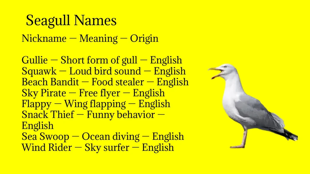 Seagull Names