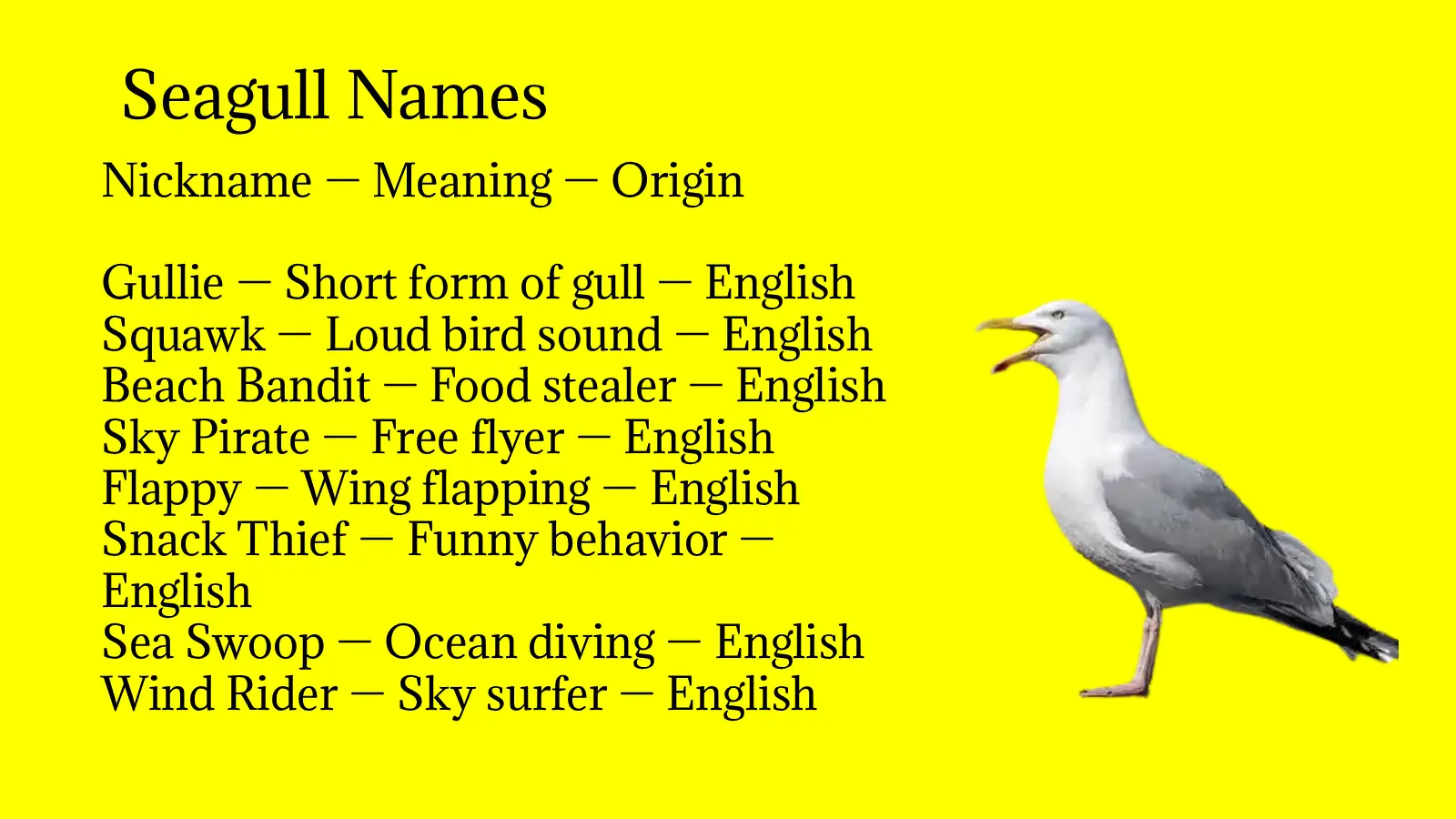 Seagull Names