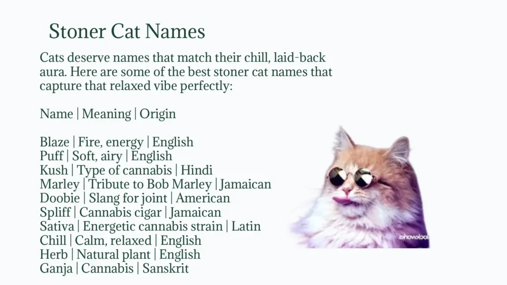 Stoner Cat Names