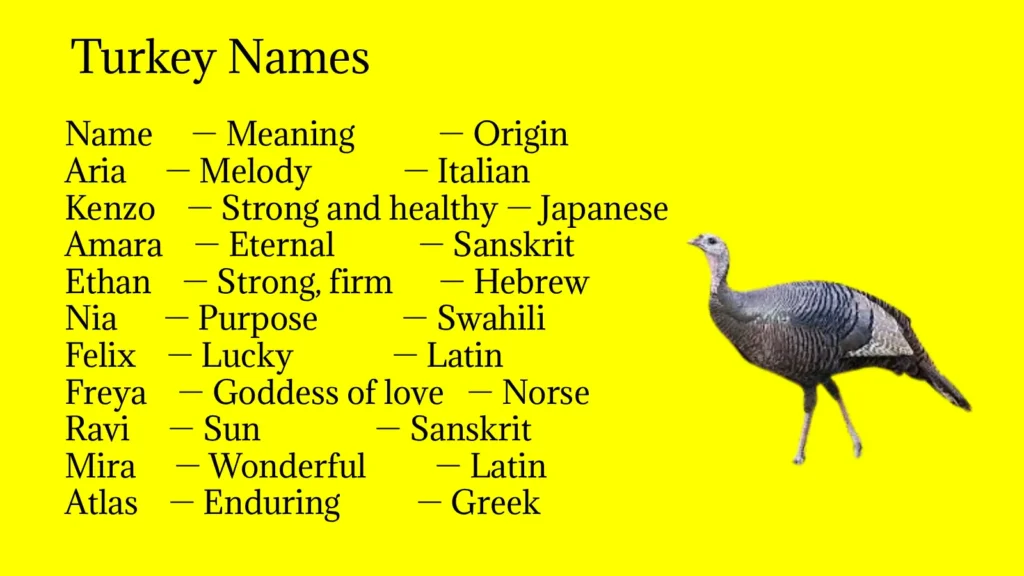 Turkey Names