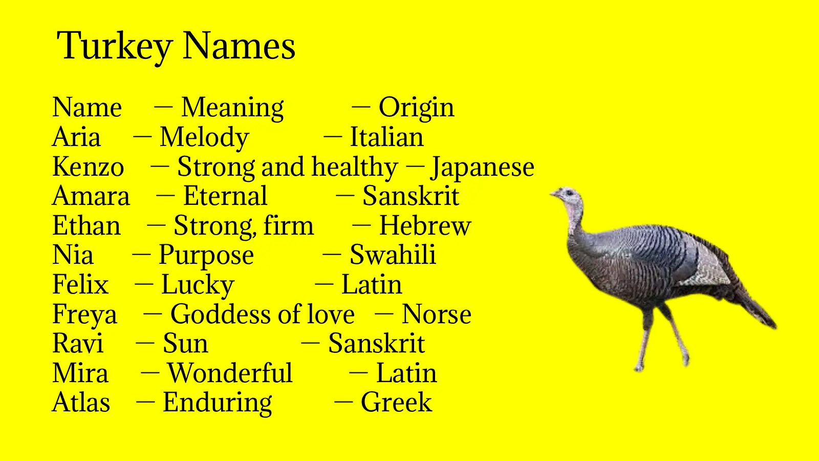 Turkey Names