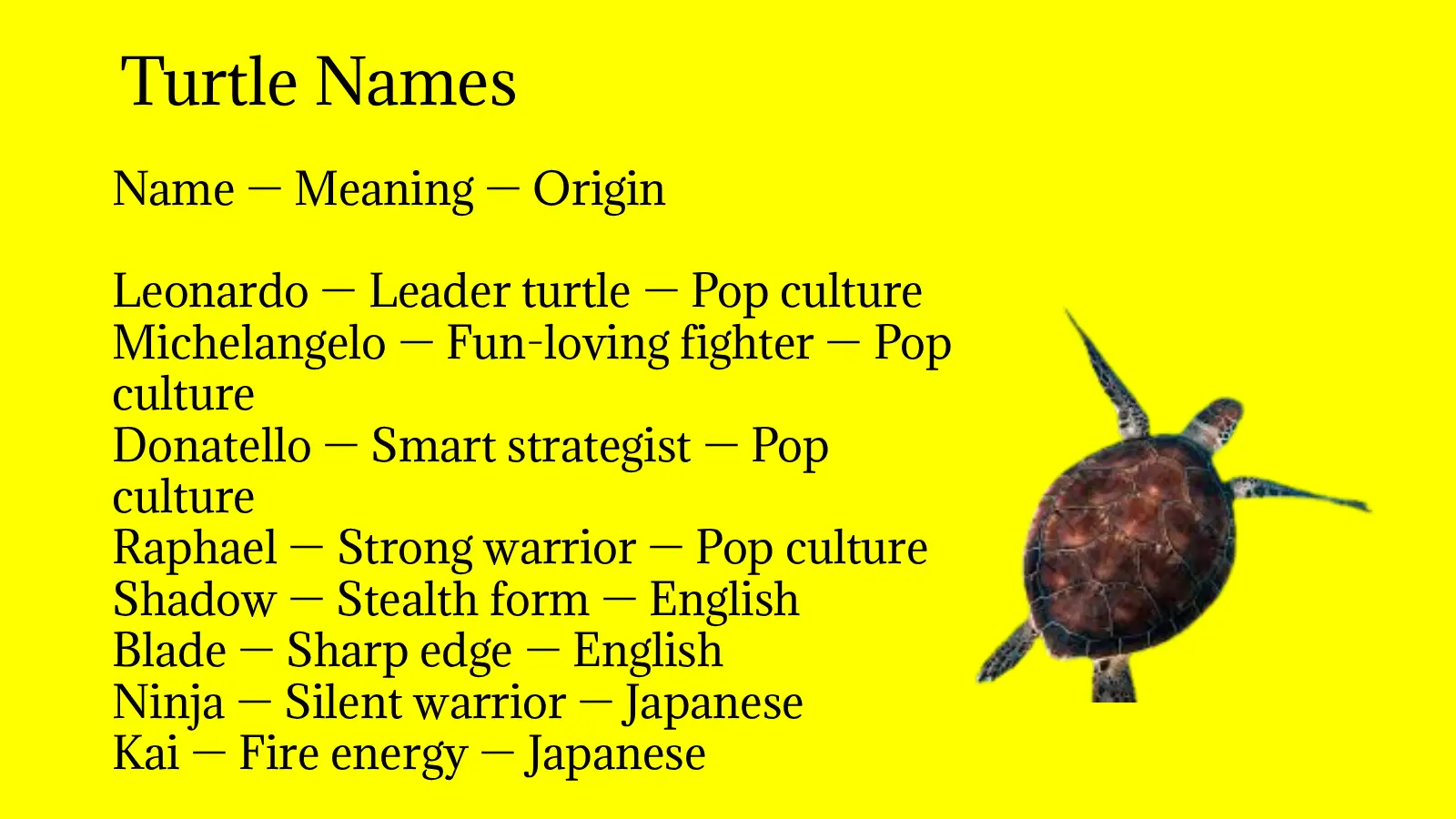 Turtle Names