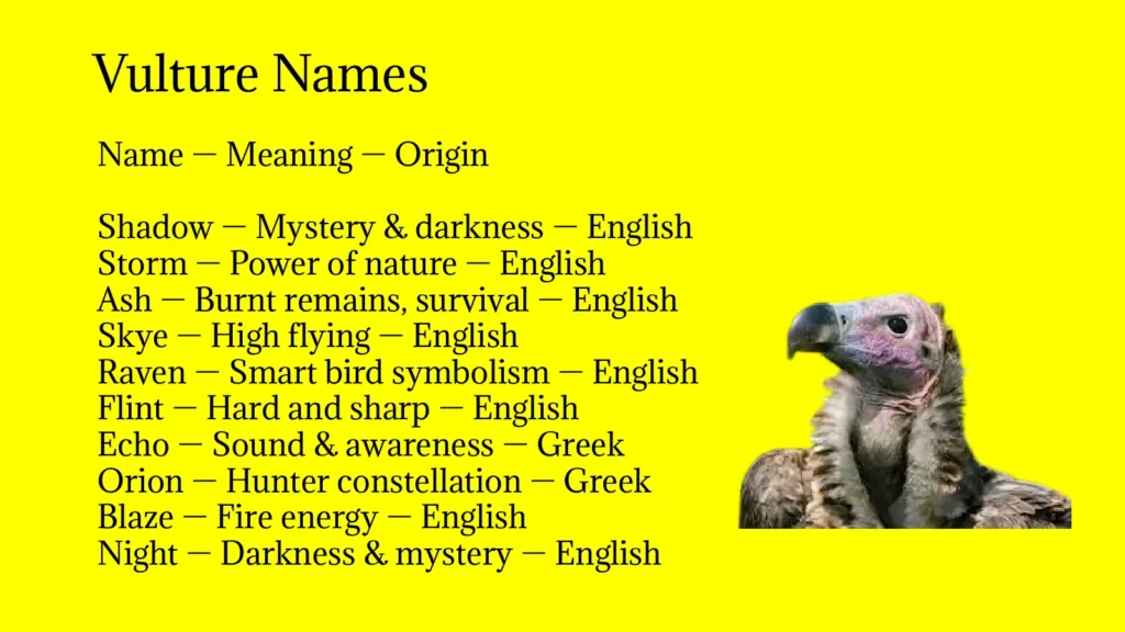 Vulture Names