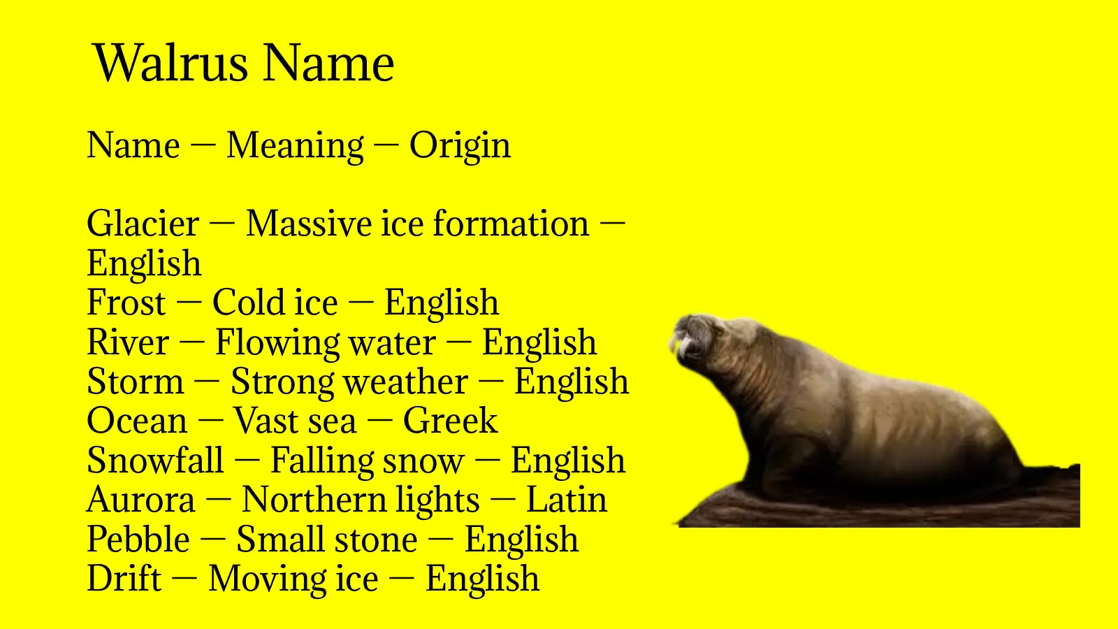 Walrus Name