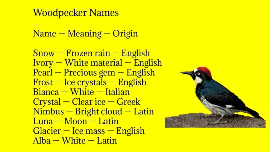 Woodpecker Names