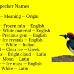 Woodpecker Names