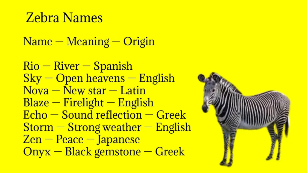 Zebra Names