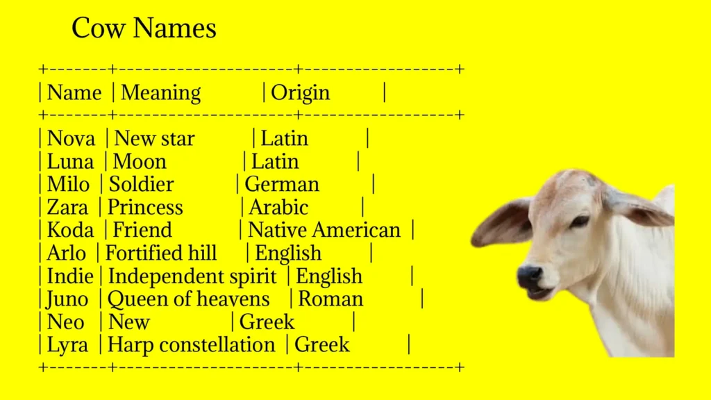 Cow Names