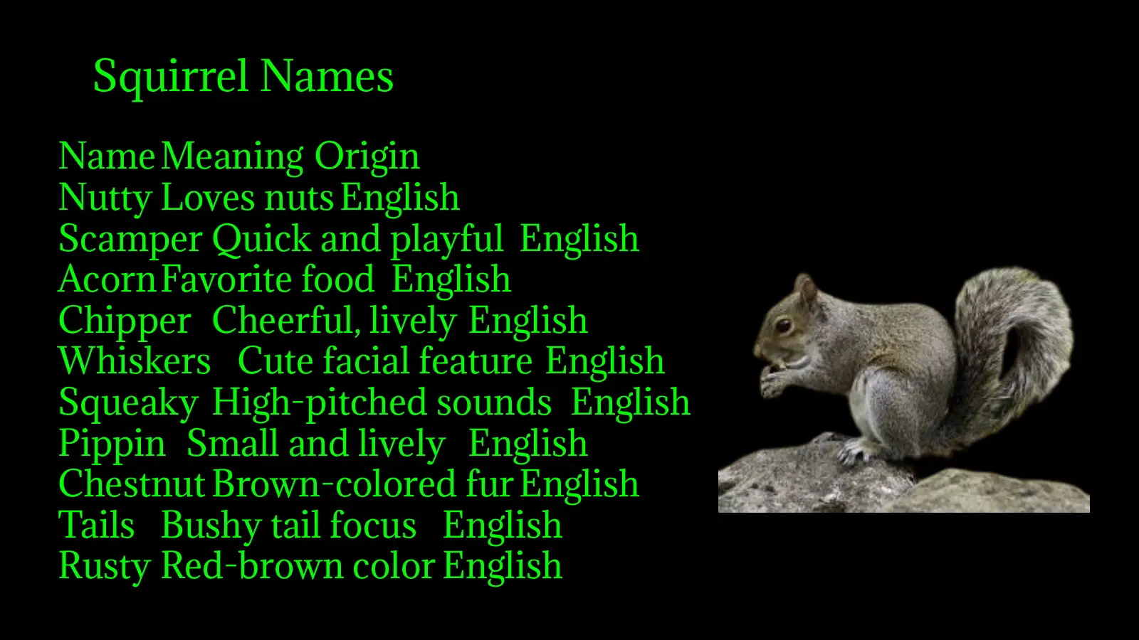 Squirrel Names